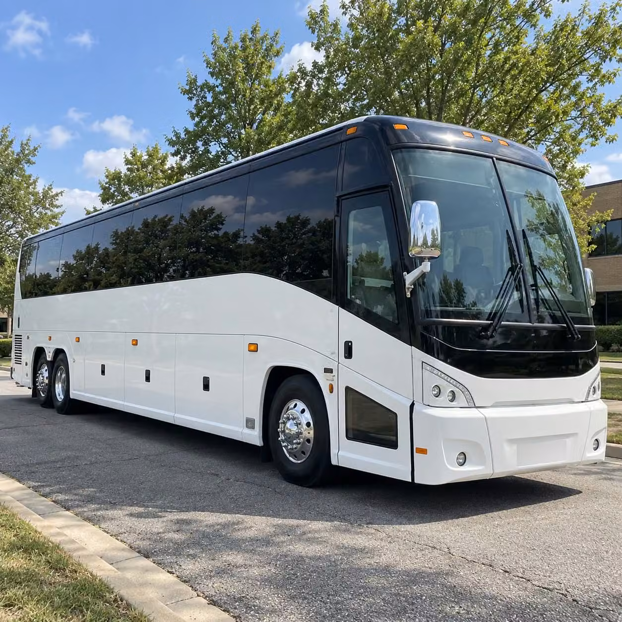 avondale youth group and extracurricular field trip transportation