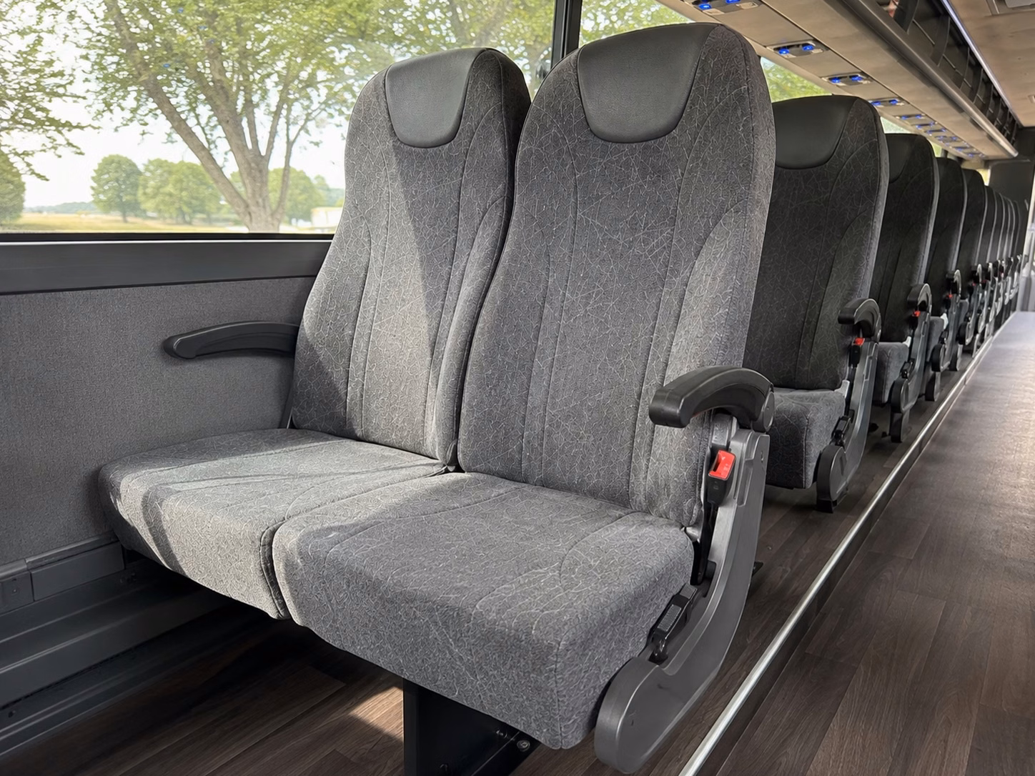 compare wedding transportation options in avondale and beyond