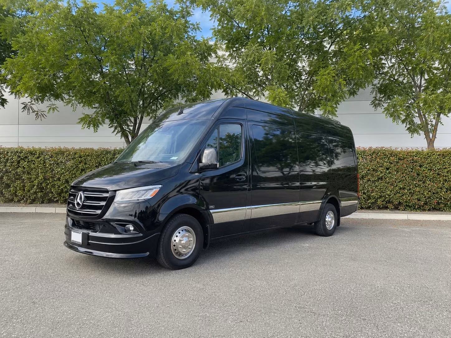 sprinter van with driver
